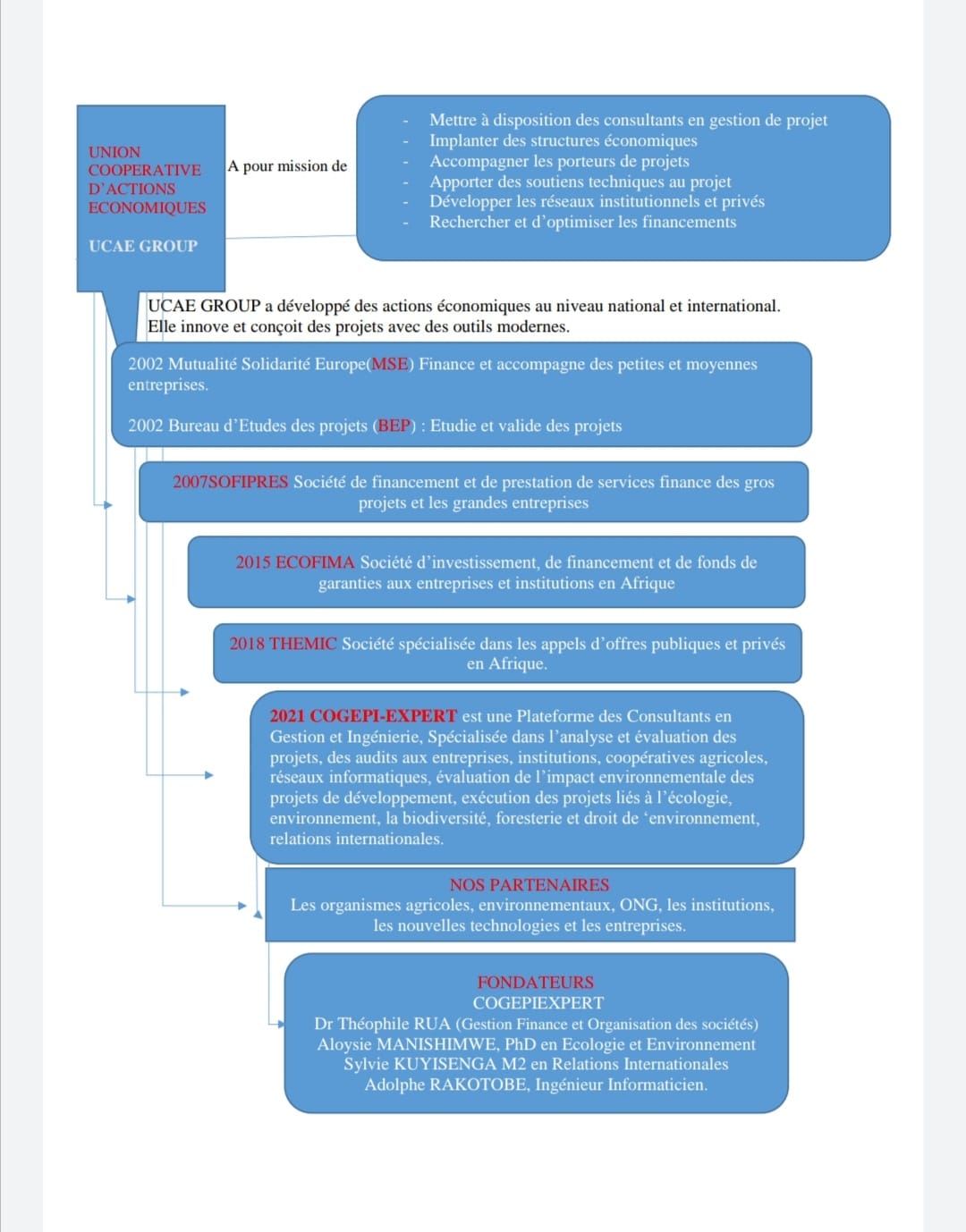 Schema CogepiExpert